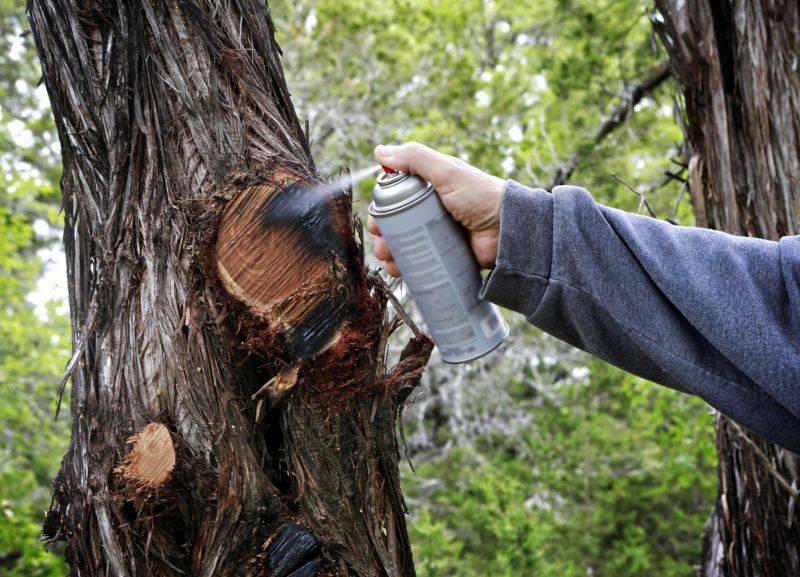 Cedar Tree Trimming