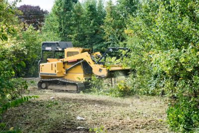 Equipment for Tree Clearing