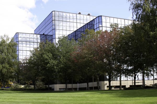 Commercial Tree Trimming in Ankeny